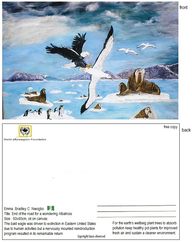 Project end of the road for a wandering albatross.jpg